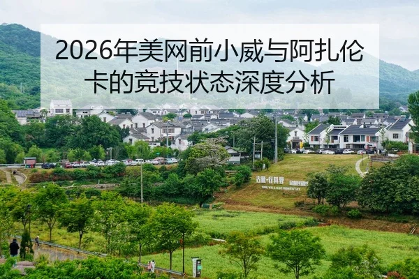 nian-mei-wang-qian-xiao-wei-yu-a-zha-lun-ka-de-jing-ji-zhuang-tai-shen-du-fen-xi-2-202.jpg