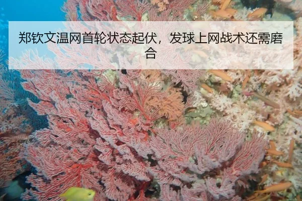 郑钦文温网首轮状态起伏，发球上网战术还需磨合
