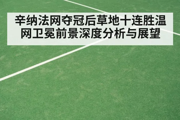 辛纳法网夺冠后草地十连胜温网卫冕前景深度分析与展望